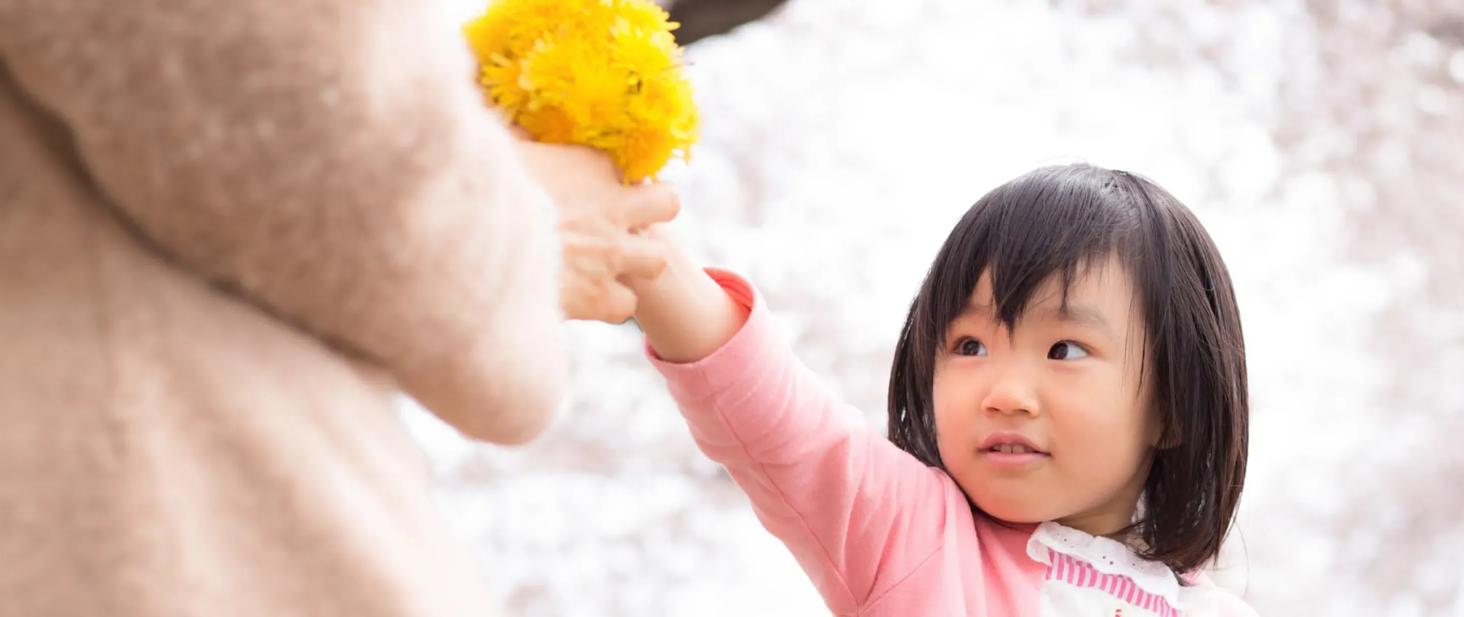 花を渡す女の子